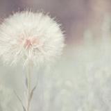 天天生活小知识