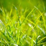 馨欣真是会欣赏