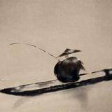 旧书卷里的长安