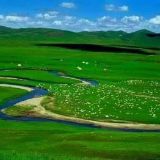 当以读书通世事