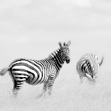 光象魔盒酒店自动售货