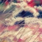 佳佳娱乐小分队