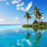 孜然美味就是棒