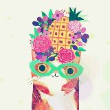 热带水果味的猫