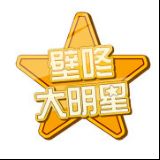 壁咚大明星