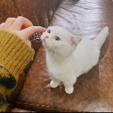 于沁