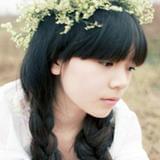燕子杂谈