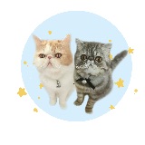 兔子家的咖啡豆