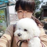 pawbox宠物研究所