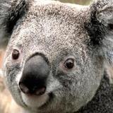 互联网实时动态