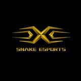 Snake电子竞技俱乐部