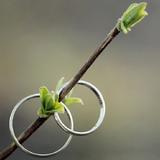 涨知识顺便把健康做了