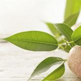 吃货的美好时光