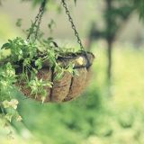 春秀伤感音乐库