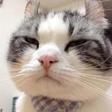 人间有味是清欢