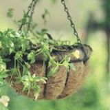 小郑的情感音乐