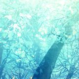 尤学义娱乐大咖