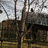 有梦想的人最可爱