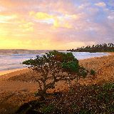 我睡着的时候最快乐