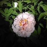 看大千世界阔眼界