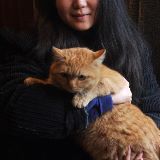 包子和馄饨的旅行