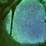 科技文化娱乐观察