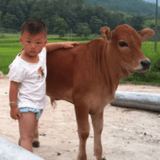 农村娃拿命去拼未来