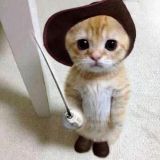 星野之上有光芒