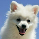 立微大数据观察V