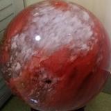 我和星星的约会