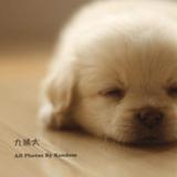 小妹说装备