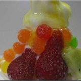 十二生肖人生运势