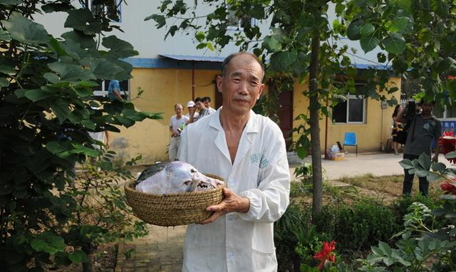 (市级传承人樊宪涛)沛县鼋汁狗肉的生产以樊氏家族最为传统,传承谱系