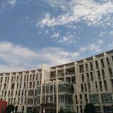 郭爱华追问教育