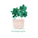 有格调的种草家