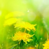 韩锐进娱乐小分队