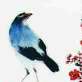 肖邦爱生活小分队