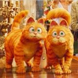 不爱吃鱼的喵小姐