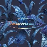 Damon音乐