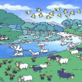 阿露的农家趣事