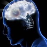 社会行为现象心理学