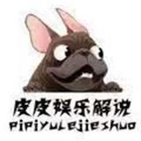 新皮皮娱乐解说