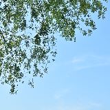宇落清晨