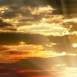 陶绍辉娱乐大咖