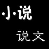 小说说文