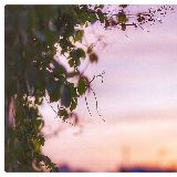 噼里啪啦麻麻hong