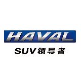 天天陪你看哈弗