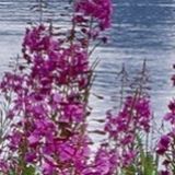 陈丁兰享受生活