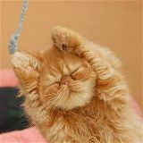 小乐趣的小生活