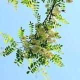 冰冷之海游戏宝典